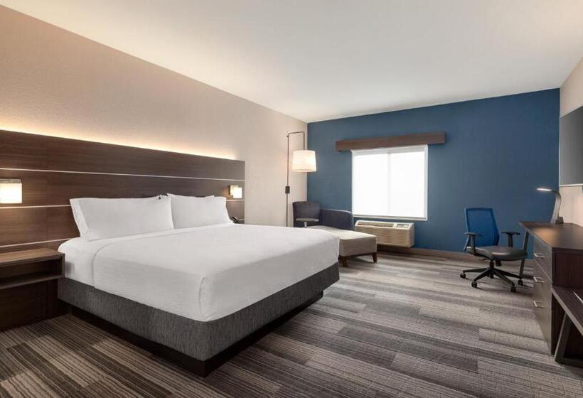 이그제큐티브 룸 킹사이즈 침대, Holiday Inn Express & Suites Denver Airport, An Ihg
