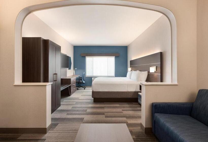 스위트 킹사이즈 침대, Holiday Inn Express & Suites Denver Airport, An Ihg