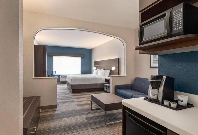 스위트 킹사이즈 침대, Holiday Inn Express & Suites Denver Airport, An Ihg