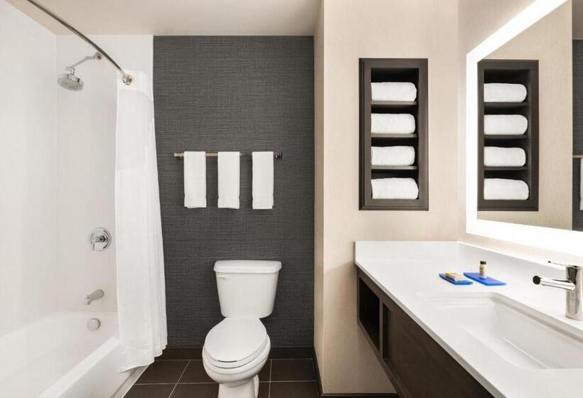 스위트 킹사이즈 침대, Holiday Inn Express & Suites Denver Airport, An Ihg