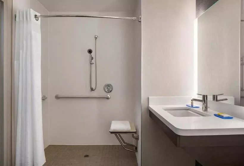 اتاق استاندارد برای معلولان, Holiday Inn Express & Suites Denver Airport, An Ihg