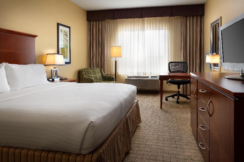 스탠다드 룸 킹사이즈 침대, Holiday Inn Express & Suites Denver Airport, An Ihg