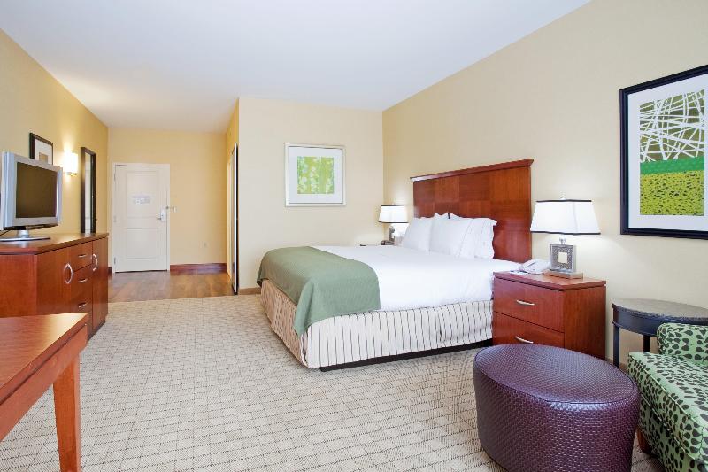 스탠다드 룸 킹사이즈 침대, Holiday Inn Express & Suites Denver Airport, An Ihg