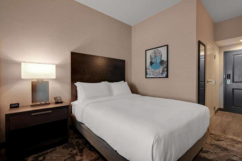 장애인을 위한 킹사이즈 침대 스탠다드 룸, Holiday Inn Express & Suites Denver Airport, An Ihg