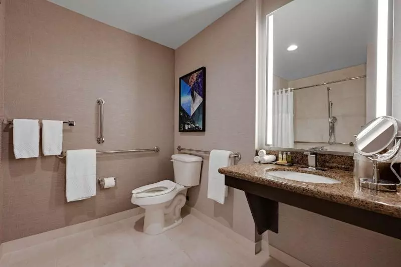 اتاق استاندارد با تخت بزرگ برای معلولان, Holiday Inn Express & Suites Denver Airport, An Ihg