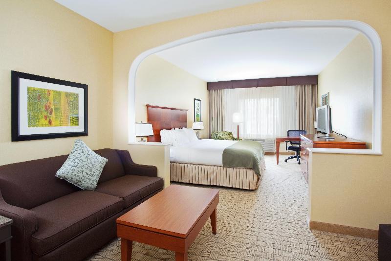 스위트 킹사이즈 침대, Holiday Inn Express & Suites Denver Airport, An Ihg