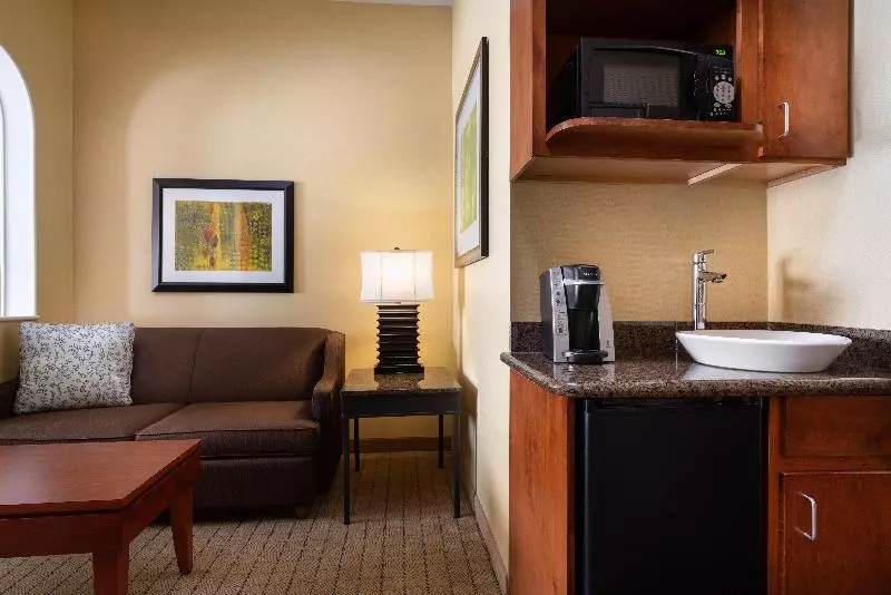 سوئیت با تخت بزرگ, Holiday Inn Express & Suites Denver Airport, An Ihg