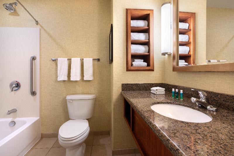 스위트 킹사이즈 침대, Holiday Inn Express & Suites Denver Airport, An Ihg