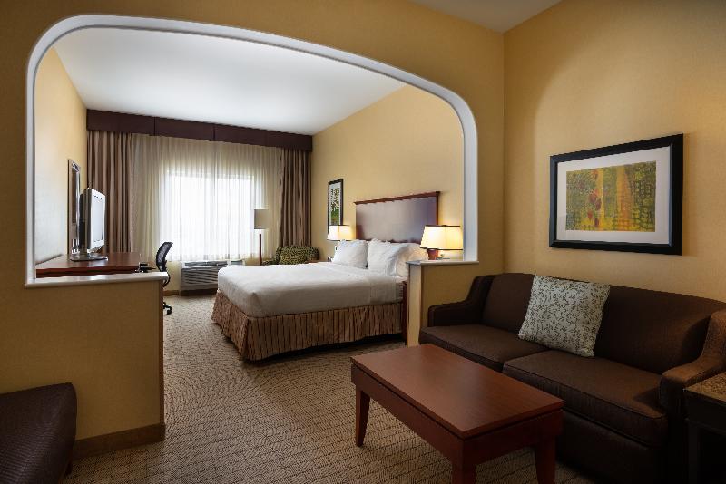 스위트 킹사이즈 침대, Holiday Inn Express & Suites Denver Airport, An Ihg