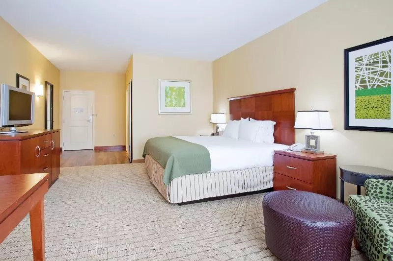 اتاق اجرایی با تخت بزرگ, Holiday Inn Express & Suites Denver Airport, An Ihg
