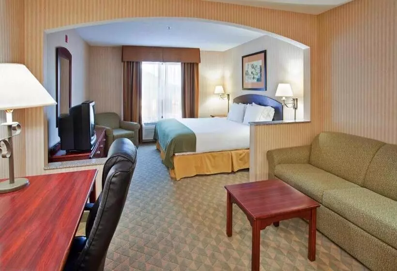 キングサイズベッドのスタンダードルーム, Holiday Inn Express  & Suites Lansingleavenworth