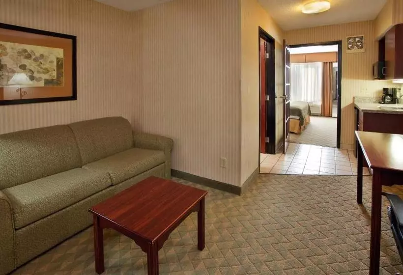 キングサイズベッドのスタンダードルーム, Holiday Inn Express  & Suites Lansingleavenworth