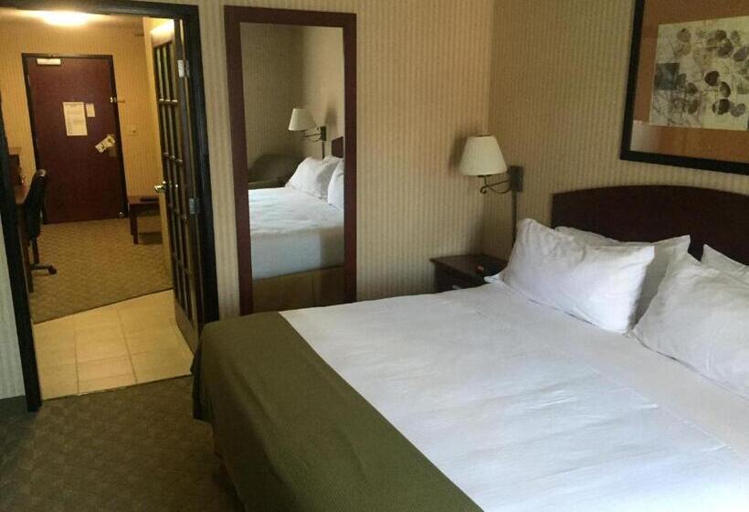 غرفة قياسية سرير كينج, Holiday Inn Express  & Suites Lansingleavenworth