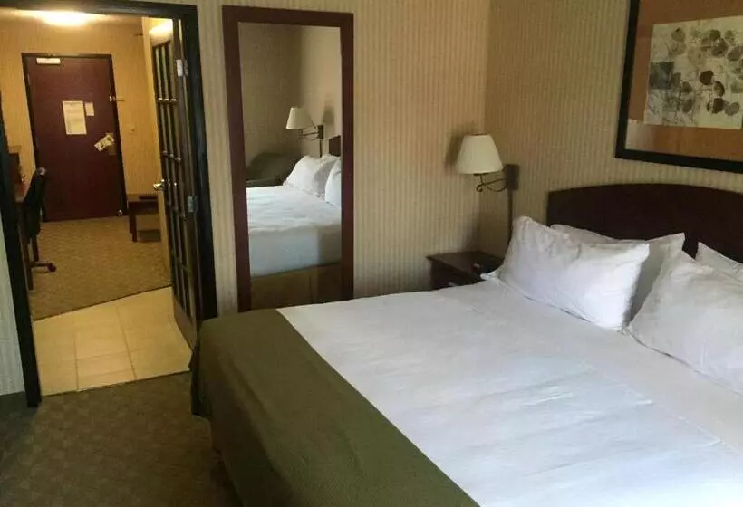 キングサイズベッドのスタンダードルーム, Holiday Inn Express  & Suites Lansingleavenworth