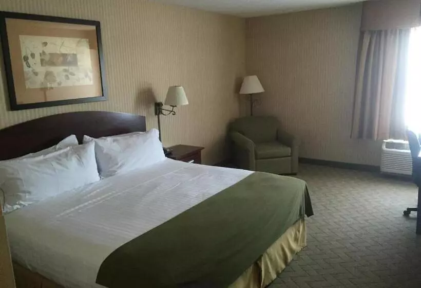 キングサイズベッドのスタンダードルーム, Holiday Inn Express  & Suites Lansingleavenworth