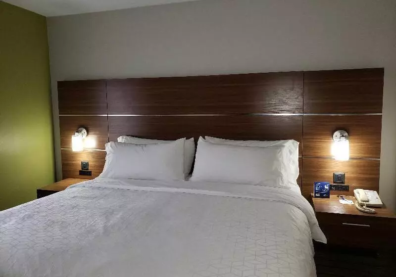 キングサイズベッドのスタンダードルーム, Holiday Inn Express Hotel & Suites Pigeon Forge, An Ihg