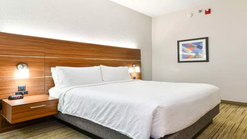 キングサイズベッドのスタンダードルーム, Holiday Inn Express Hotel & Suites Pigeon Forge, An Ihg