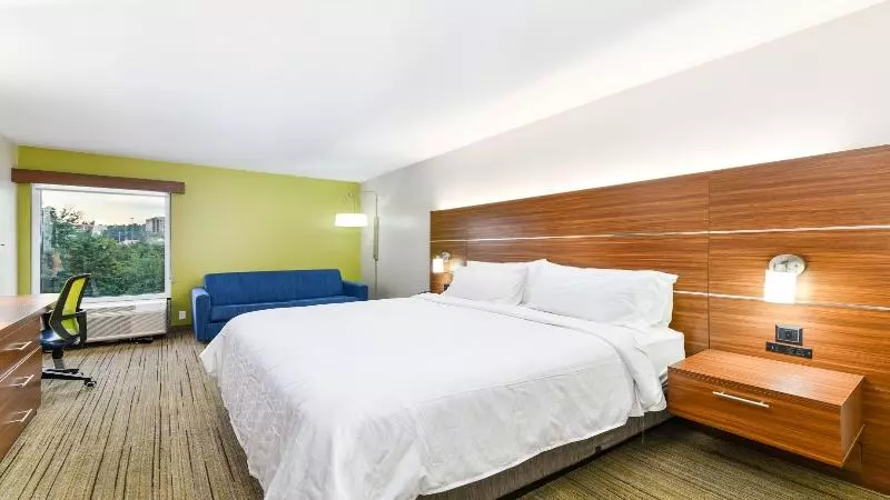 キングサイズベッドのスタンダードルーム, Holiday Inn Express Hotel & Suites Pigeon Forge, An Ihg
