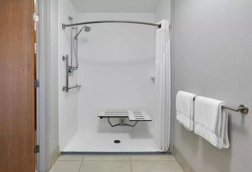 اتاق استاندارد با تخت بزرگ برای معلولان, Holiday Inn Express Scottsbluff   Gering, An Ihg