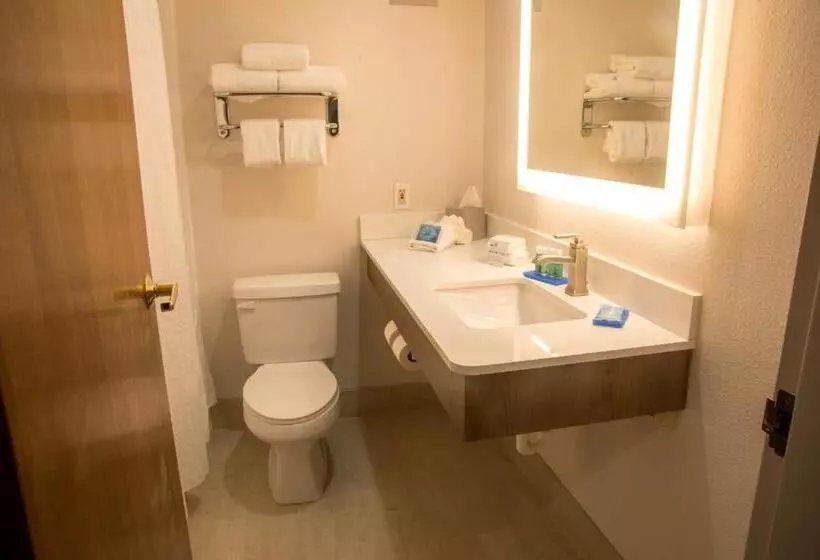 キングサイズベッドのスタンダードルーム, Holiday Inn Express Easton, An Ihg