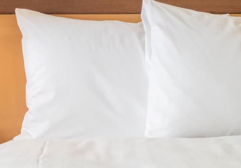 장애인을 위한 스탠다드 룸, Holiday Inn Express Hershey Harrisburg Area, An Ihg