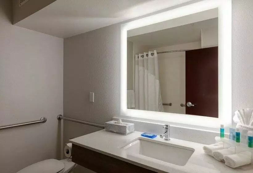 スタンダードルーム, Holiday Inn Express & Suites Milton East I 10, An Ihg