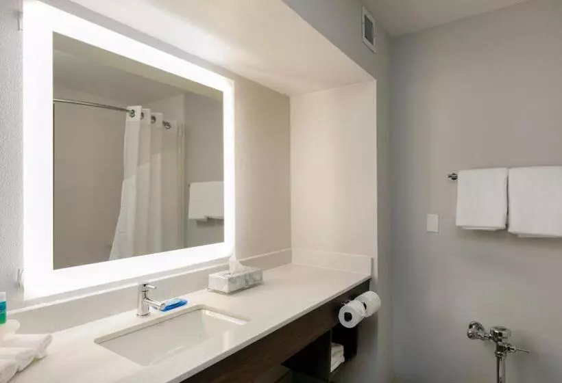 キングサイズベッドのデラックスルーム, Holiday Inn Express & Suites Milton East I 10, An Ihg