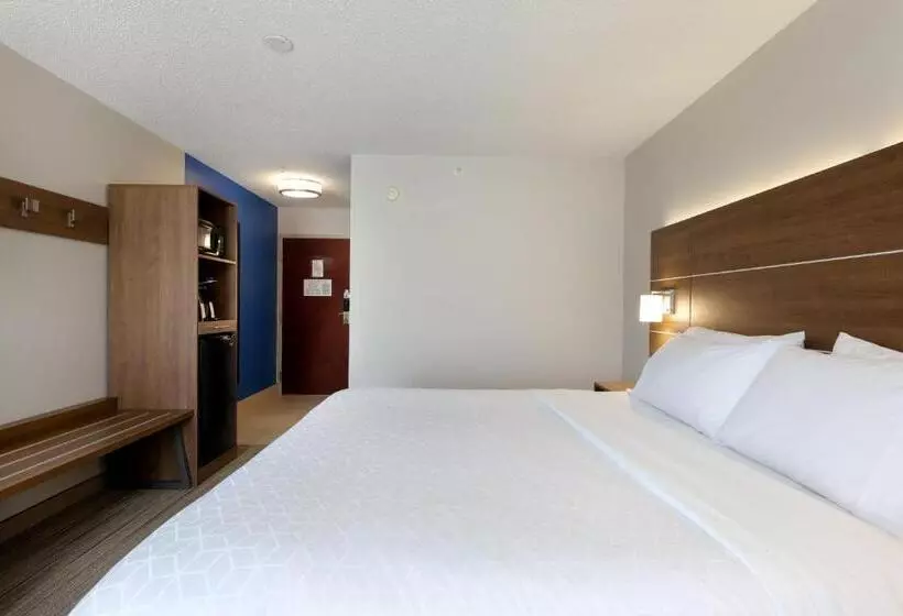 キングサイズベッドのデラックスルーム, Holiday Inn Express & Suites Milton East I 10, An Ihg