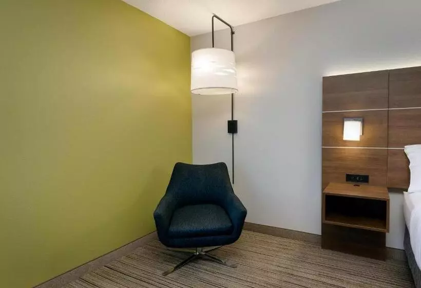 身障者適用キングサイズベッドルーム, Holiday Inn Express & Suites Milton East I 10, An Ihg