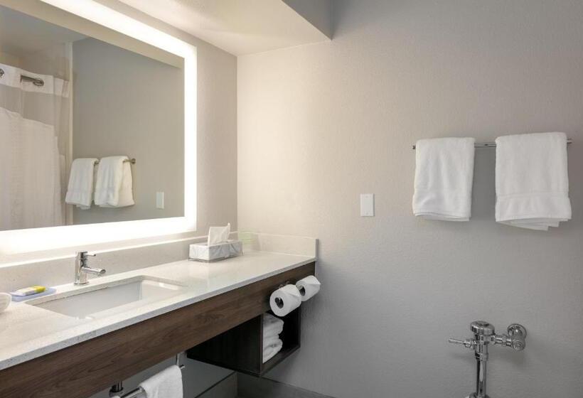 غرفة ديلوكس سرير كينج, Holiday Inn Express & Suites Milton East I 10, An Ihg