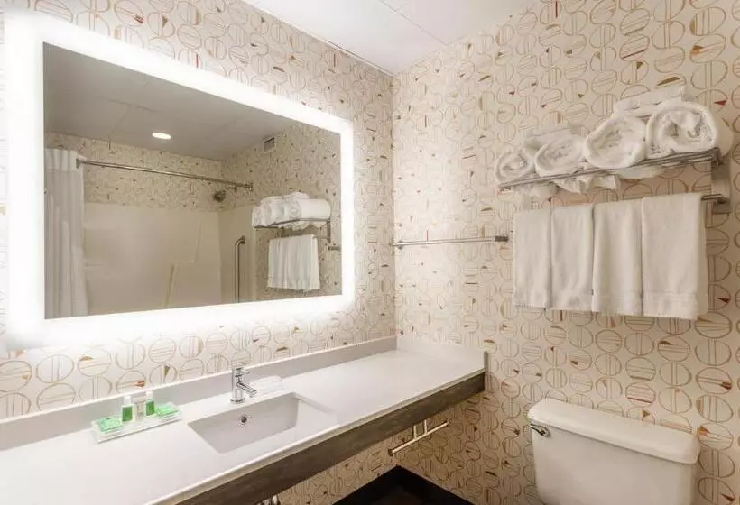 キングサイズベッドのスタンダードルーム, Holiday Inn Philadelphia South Swedesboro, An Ihg
