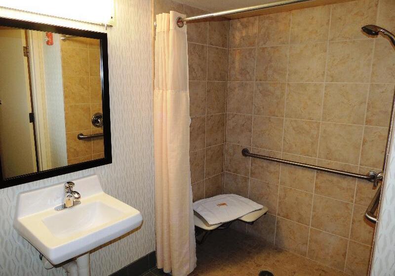 Стандартный Номер Кровать Кинг, Holiday Inn Portland I 5 S Wilsonville, An Ihg