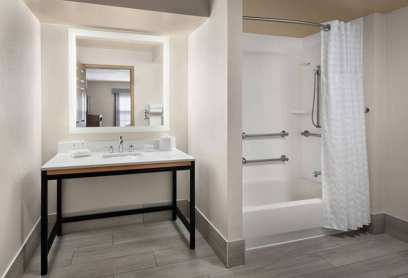 장애인을 위한 스위트, Homewood Suites By Hilton Baltimorebwi Airport