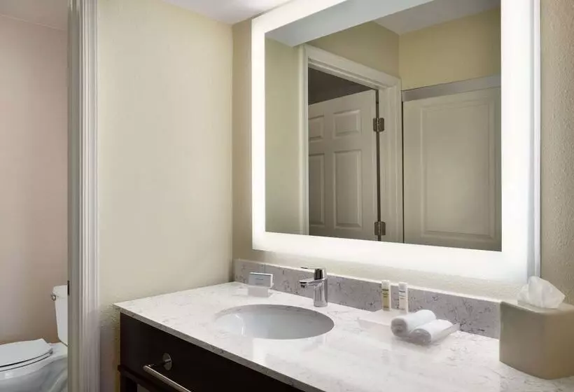 سوییت, Homewood Suites By Hilton St. Petersburg Clearwater