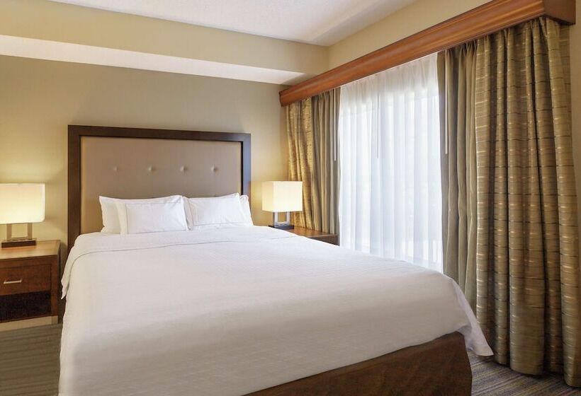 جناح لذوى الاحتياجات الخاصة, Homewood Suites By Hilton St. Petersburg Clearwater