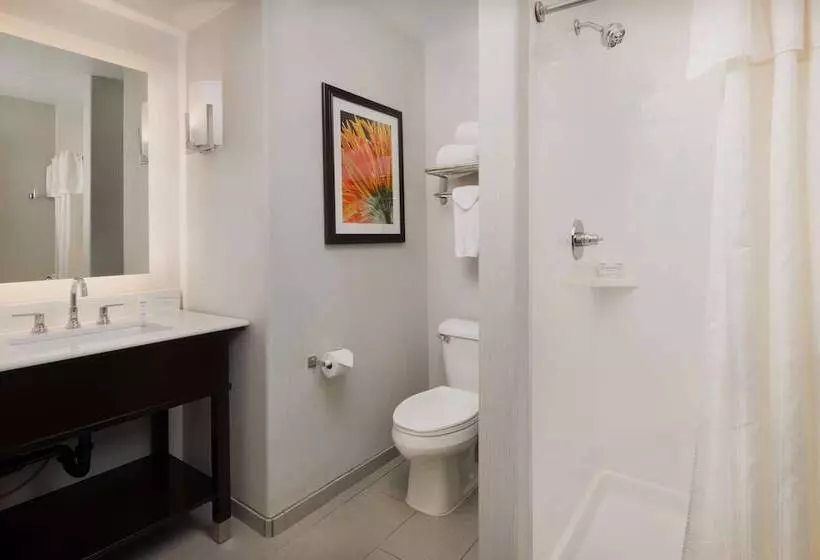スイート, Homewood Suites By Hilton Vancouverportland