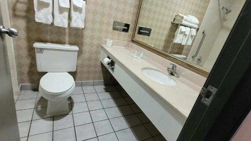 غرفة قياسية سرير كينج, Quality Inn & Suites Columbia I70