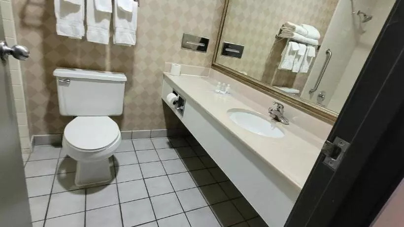 اتاق استاندارد با تخت بزرگ, Quality Inn & Suites Columbia I70