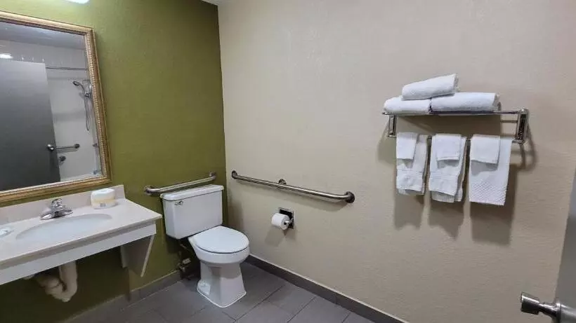 اتاق استاندارد با تخت بزرگ برای معلولان, Quality Inn & Suites Columbia I70