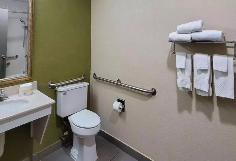 اتاق استاندارد با تخت بزرگ برای معلولان, Quality Inn & Suites Columbia I70