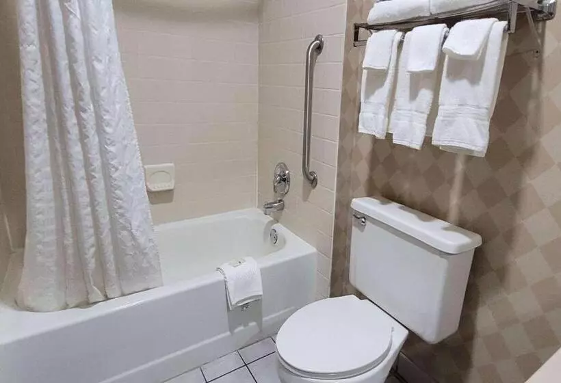 اتاق استاندارد با تخت بزرگ برای معلولان, Quality Inn & Suites Columbia I70