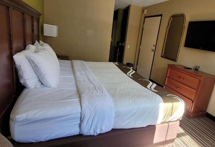 适合残疾人士使用的带超级大床的标准间, Quality Inn & Suites Columbia I70