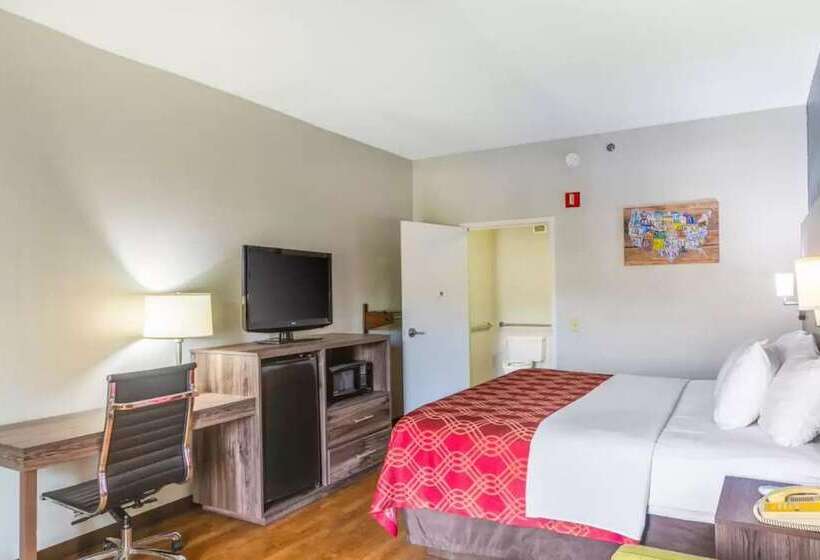Номер Стандарт, Royal Palms Inn