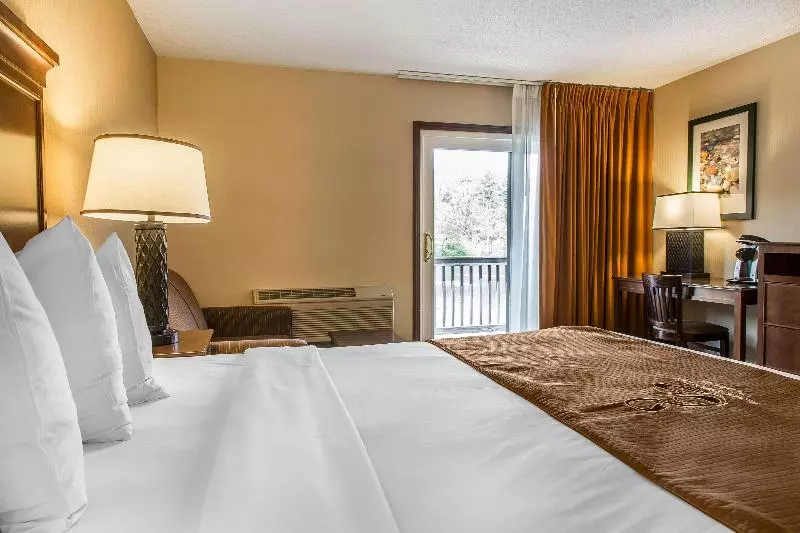 キングサイズベッドのスタンダードルーム, Surestayplus Hotel By Best Western San Jose Central City