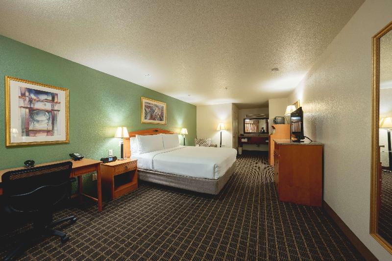 חדר סטנדרט עם מיטת קינג, Surestayplus Hotel By Best Western San Jose Central City