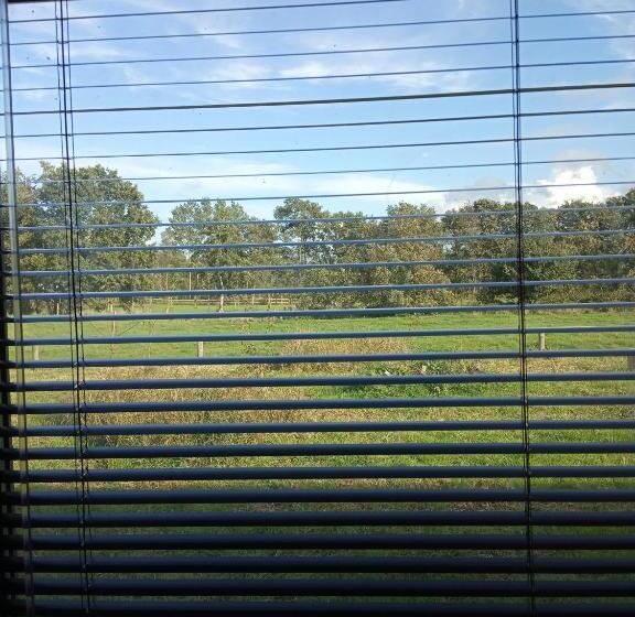 Номер Стандарт, Bij Maus