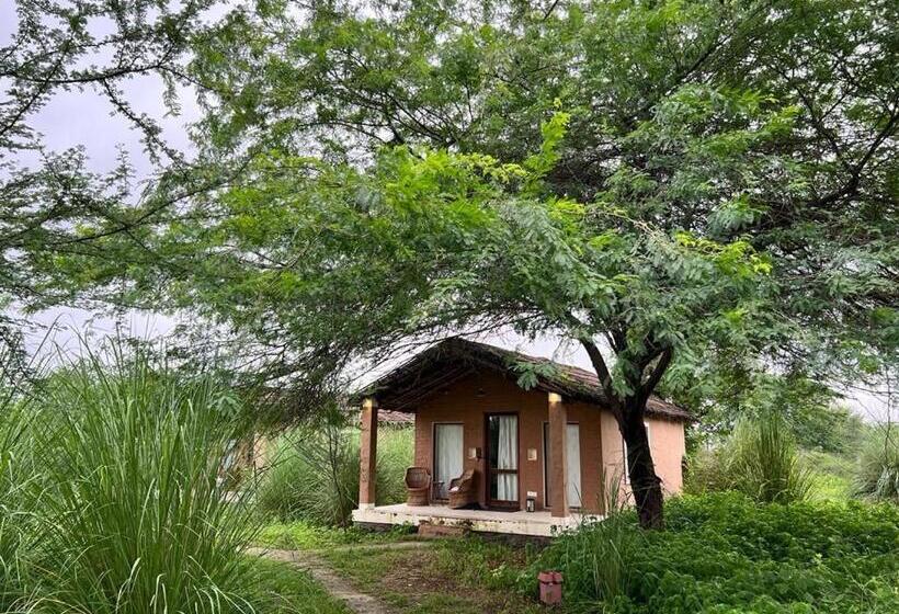 غرفة ديلوكس, Camp Land S End