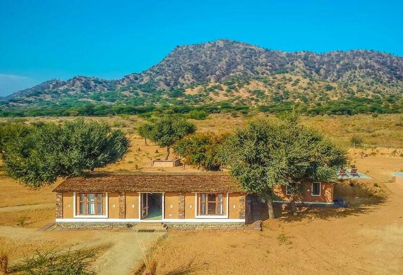 غرفة ديلوكس, Camp Land S End