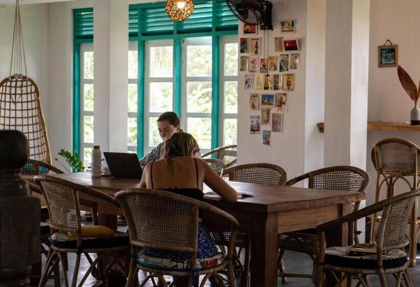 共用房间的床, Voulez Vous, Managed By Dikwella Beach