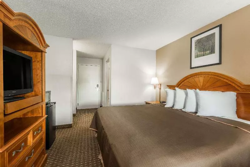 اتاق لوکس با تخت بزرگ, Howard Johnson By Wyndham Allentown/dorney Hotel & Suites